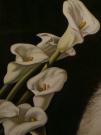 Tamara De Lempicka Calle Studio 1938